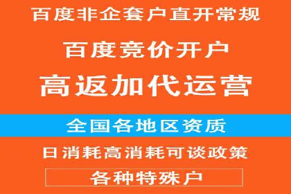 某品牌SEM推广代运营的实践与效果评估